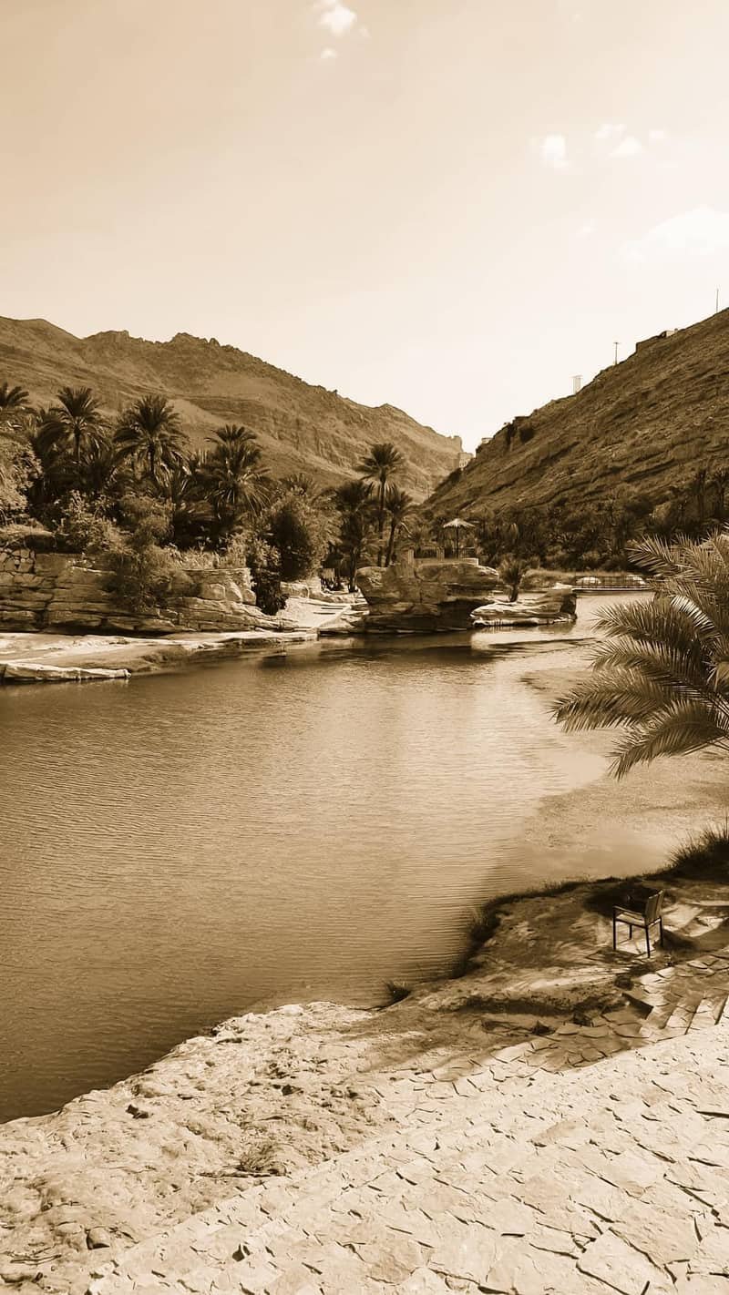 شاي فواكة